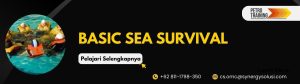 Basic sea survival